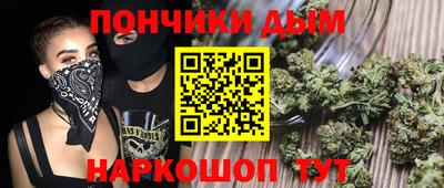 индика Можайск