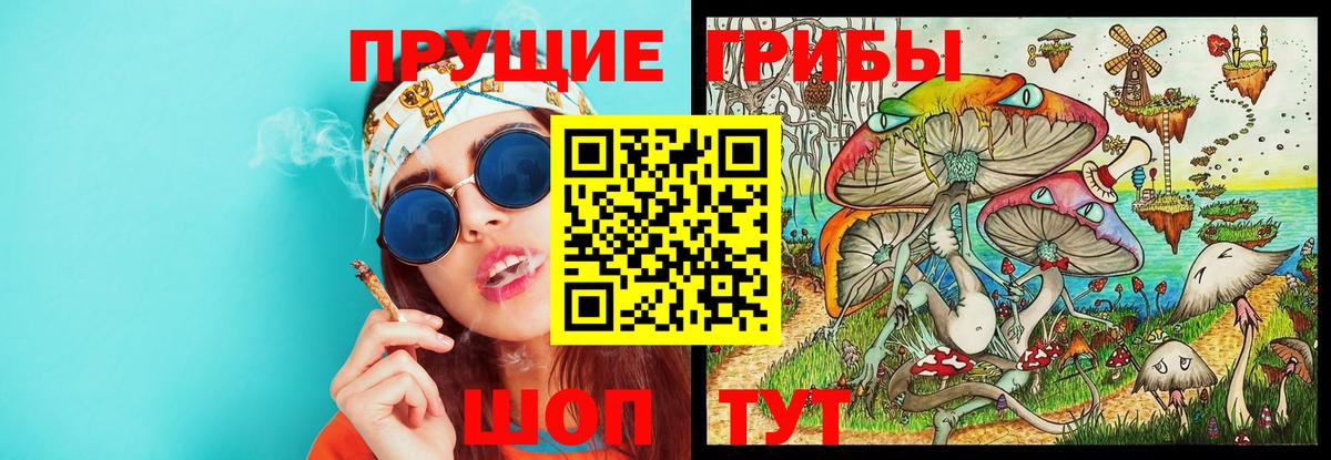 Сланцы  Псилоцибиновые грибы мухоморы  Вход с VPN  Галлюциногенные грибы Psilocybine cubensis 